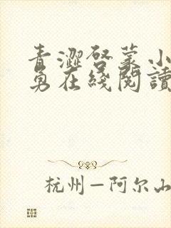 青涩启蒙小说张勇在线阅读全文