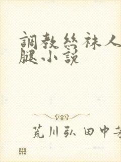 调教丝袜人妻美腿小说封面