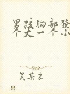 男孩胸部发育一个大一个小怎么回事