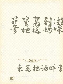 萌宝驾到:拐个爹地送妈咪好看