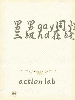 男男gay同性三级hd在线