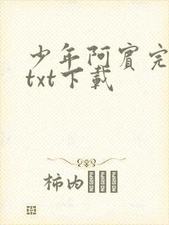 少年阿宾完整版txt下载封面