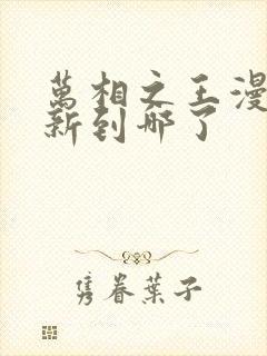 万相之王漫画更新到哪了