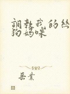 调教我的丝袜母狗妈咪