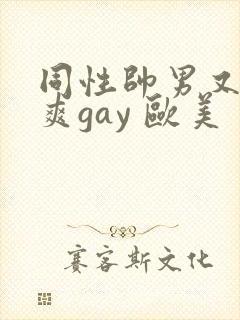 同性帅男又粗又爽gay 欧美封面