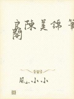 良陈美锦 笔趣阁