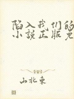 陷入我们的热恋小说正版免费阅读