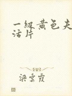 一级黄色夫妻生活片