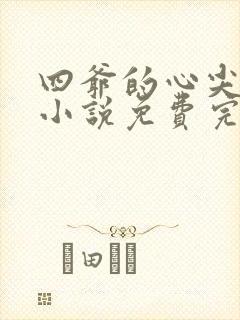 四爷的心尖宠妃小说免费完整版txt