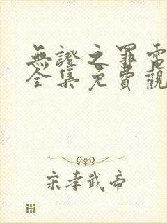 无证之罪电视剧全集免费观看完整版