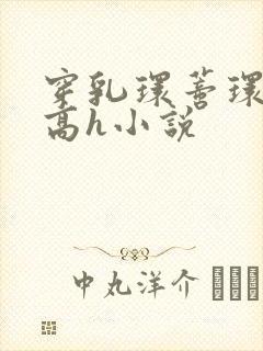 穿乳环蒂环露出高h小说封面