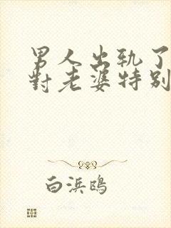 男人出轨了但是对老婆特别好封面