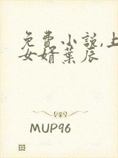 免费小说,上门女婿叶辰封面