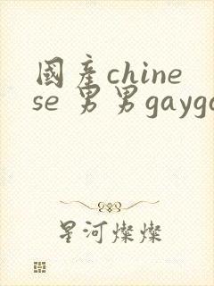 国产chinese 男男gaygay网站封面