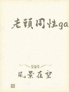 老头同性gay