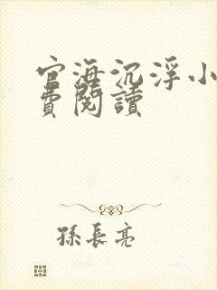 官海沉浮小说免费阅读