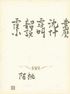 霍韶霆沈棠溪的小说叫什么名字