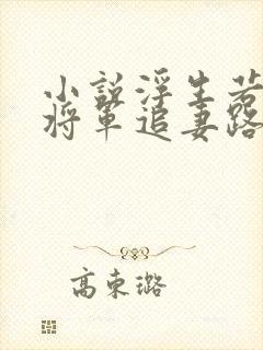 小说浮生若梦:将军追妻路漫漫免费看