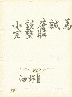 小说唐诚马玉婷完整版