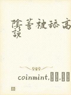 阴蒂被舔高潮小说封面