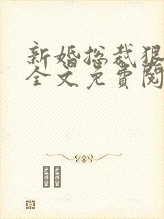 新婚总裁狠神秘全文免费阅读封面