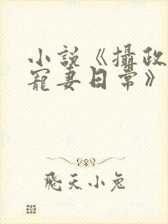 小说《摄政王的宠妻日常》