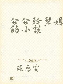公公干儿媳小见的小说
