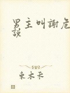 男主叫谢危的小说