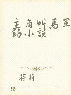 主角叫马军刘艳的小说