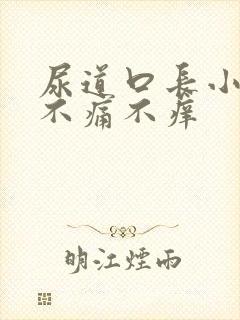 尿道口长小肉粒不痛不痒