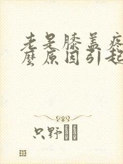 老是膝盖疼是什么原因引起的