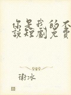 你是我的不可言说短剧免费播放全集