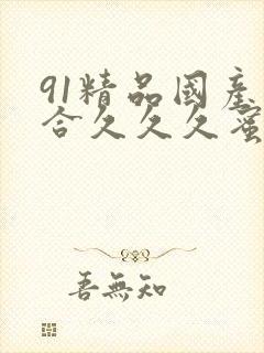 91精品国产综合久久久蜜臀懂色