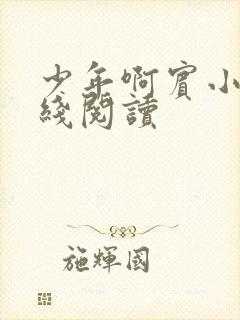 少年啊宾小说在线阅读