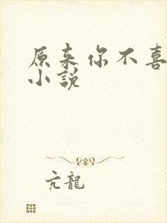 原来你不喜欢我小说