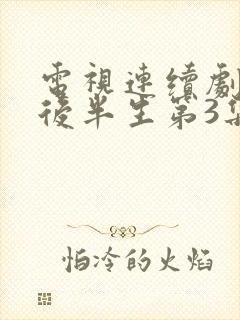 电视连续剧我的后半生第3集