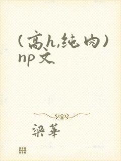 (高h,纯肉)np文封面