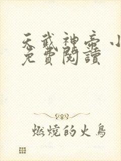 天武神帝 小说免费阅读