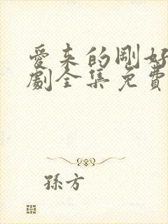 爱来的刚好电视剧全集免费观看封面