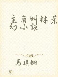 主角叫林叶的玄幻小说