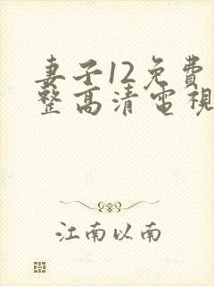 妻子12免费完整高清电视剧在线观看