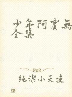 少年阿宾无删减全集