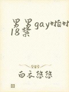 男男gay啪啪18禁