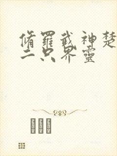 修罗武神楚枫第二只界灵封面