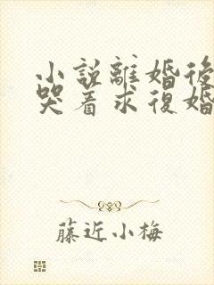 小说离婚后前夫哭着求复婚全文阅读封面