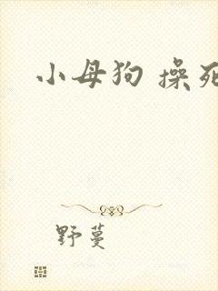 小母狗 操死你