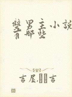 双男主小说虐心有哪些