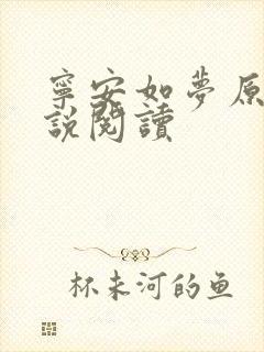 宁安如梦原著小说阅读