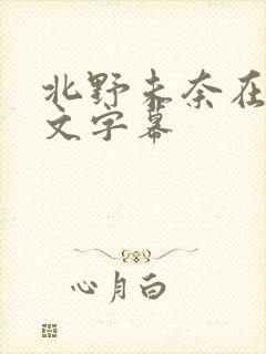 北野未奈在线中文字幕