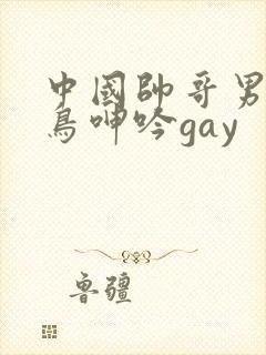 中国帅哥男同大鸟呻吟gay